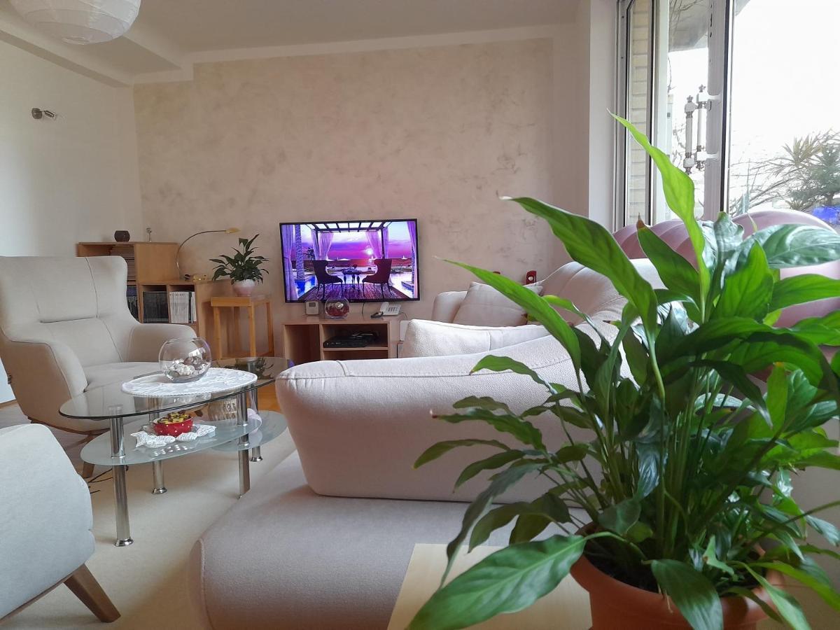 Marina Centar Apartment Budva