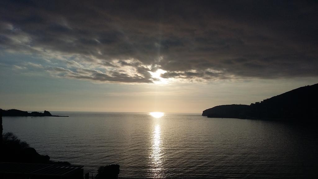 Marina Centar * Budva