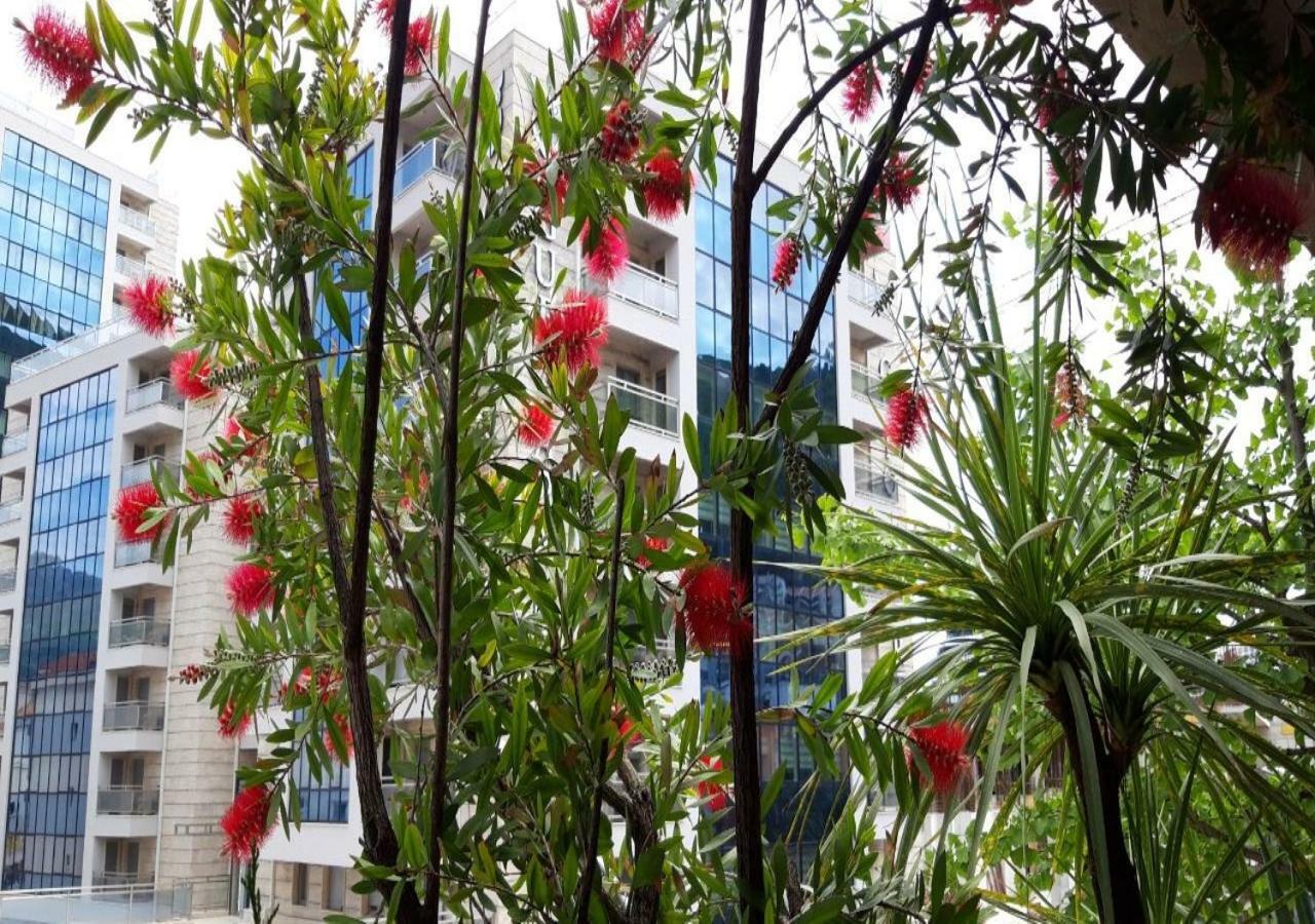 Apartment Marina Centar *